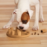 Nina Ottosson Dog Smart Composite Puzzle Toy – Level 1 beginner interactive toy with 9 treat compartments and scent-releasing pegs.