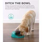 Nina Ottosson Dog Spin 'n' Eat Green Puzzle Feeder – Level 2 interactive feeder holding up to 2 cups of kibble or treats for dogs of all sizes.