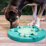 Nina Ottosson Dog Worker Green puzzle toy with flippers, blocks, and spinning centre for advanced dog enrichment.