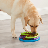 Dog exploring Nina Ottosson Lickin' Layers interactive puzzle toy with three spinning treat compartments.