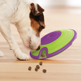 Dog playing with Nina Ottosson Treat Maze interactive puzzle toy, searching for treats.