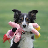 KONG Wild Knots Birds – Durable Plush Dog Toy with Knotted Rope & Squeaker