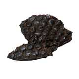 Nutriment Rabbit Liver