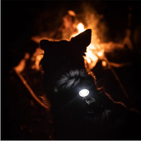 Orbiloc Dog Safety Light