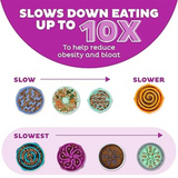 Outward Hound Fun Feeder Bowl Speed Guide