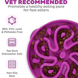 Outward Hound Fun Feeder Flower Purple - Slow Feeder Bowl for Dogs