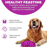 Outward Hound Fun Feeder Flower Purple - Slow Feeder Bowl for Dogs