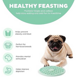 Outward Hound Fun Feeder Slo Tray Mint - Slow Feeder Bowl for Flat-Faced Dog Breeds