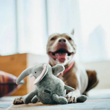 P.L.A.Y Elephant