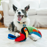 P.L.A.Y. Toucan