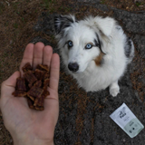Pala Treats 100% Duck - Air Dried Treats for Dogs & Cats