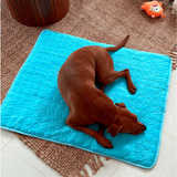 Pawfect Cooling Mat