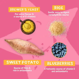 Pawtato Blueberry Sticks