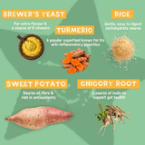 Pawtato Turmeric & Chicory Root Tubes