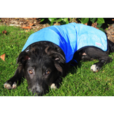 Prestige Cooling Coat Blue - Lightweight Breathable Cooling Coat for Dogs