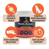 Proflax Power & Revive Muscle & Recovery Support for Dogs