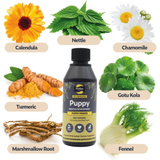 Proflax Puppy Power Digestion and Growth Support for Puppies