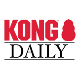 KONG Daily Newspaper – Interactive Newspaper Toy for Dogs