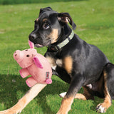 KONG Phatz Pig - Durable, Textured Squeaky Plush for Dogs