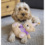 osewood Bonnie Birthday Bear – Soft plush squeaky dog toy, perfect for cuddles and playtime - Lifestyle