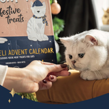 Rosewood Cupid & Comet Luxury Deli Advent Calendar For Cats