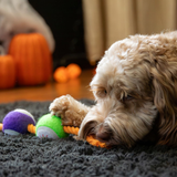 Rosewood Spirit & Spook Goofy Eye Tug