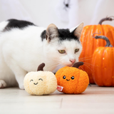 Rosewood Spirit & Spook Pumpkin Pals
