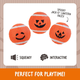 Rosewood Spirit & Spook Squeaky Tennis Balls