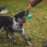 Ruffwear Huck-a-Cone Purple Orchid