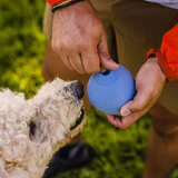 Ruffwear Huckama Toy Sage Green