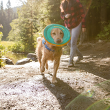 Ruffwear Hydro Plane - Floating Throw Toy for Dogs