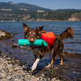 Ruffwear Lunker - Floating Tug & Fetch Toy for Dogs