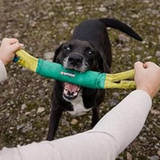 Ruffwear Pacific Loop Toy Aurora Teal
