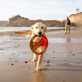 Ruffwear Pacific Ring Toy Sockeye Red