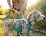 Ruffwear Swamp Cooler Harness Biolumin Blue - Cooling Harness for Active Dogs