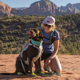 Ruffwear Swamp Cooler Harness Graphite Gray - Cooling Harness for Active Dogs