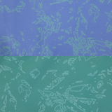 Ruffwear Swamp Cooler Neck Gaiter Aurora Teal & Heliotrope - Reversible Cooling Accessory