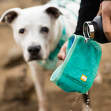 Ruffwear Swamp Cooler Neck Gaiter Aurora Teal & Heliotrope - Reversible Cooling Accessory