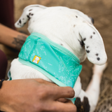 Ruffwear Swamp Cooler Neck Gaiter Aurora Teal & Heliotrope - Reversible Cooling Accessory