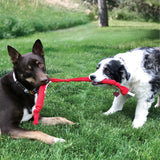 KONG Signature Crunch Single Rope - Crinkle Sound Tug Toy for Dogs