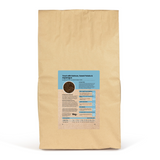 SayGrace Grain-Free Light Adult Nourishing Trout with Salmon Dry Dog Food