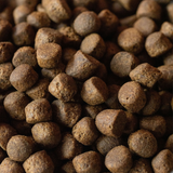 SayGrace Grain-Free Puppy Tasty Trio of Fish Dry Dog Food