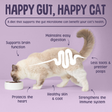 Scrumbles Krunchies Cat Calming Pillow Treats