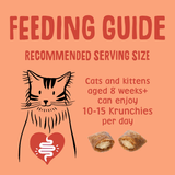 Scrumbles Krunchies Chicken Training Cat Pillow Treats