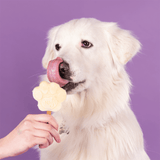 Smoofl Banana Dog Ice Cream Mix