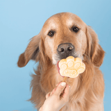 Smoofl Peanut Butter Dog Ice Cream Mix