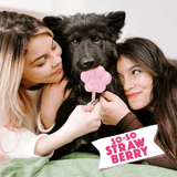 Smoofl Strawberry Dog Ice Cream Mix