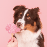 Smoofl Watermelon Dog Ice Cream Mix