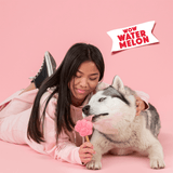 Smoofl Watermelon Dog Ice Cream Mix