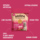 Soopa Healthy Bites Strawberry Dog-Quiri treats with eco-friendly packaging, strawberries, coconut, and mint ingredients.